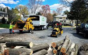 Best Firewood Processing and Delivery  in Windsor, PA