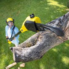 Best Utility Line Clearance  in Windsor, PA